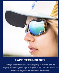 Lapis Technology